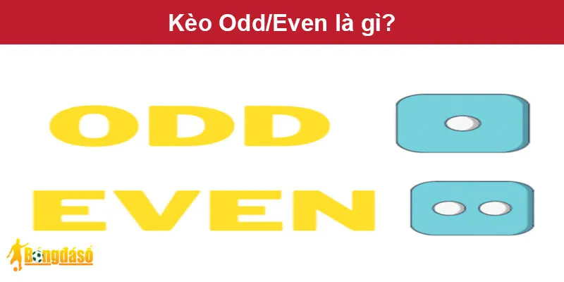 Kèo Odd/Even là gì? Kèo Odd/Even là gì?